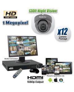 Megapixel 12 Camera CCTV System, HDCVI