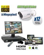 2 Megapixel 12 CCTV Camera System