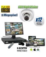 2 Megapixel 12 Dome Camera HDCVI System