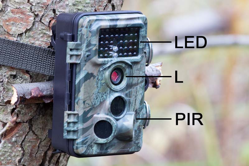 Camera with night vision strapped to a tree